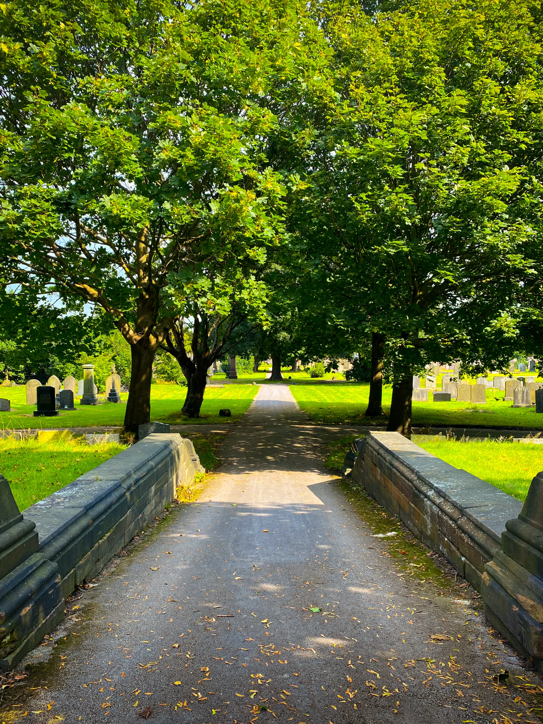 MetClic Portafolio Fotografía