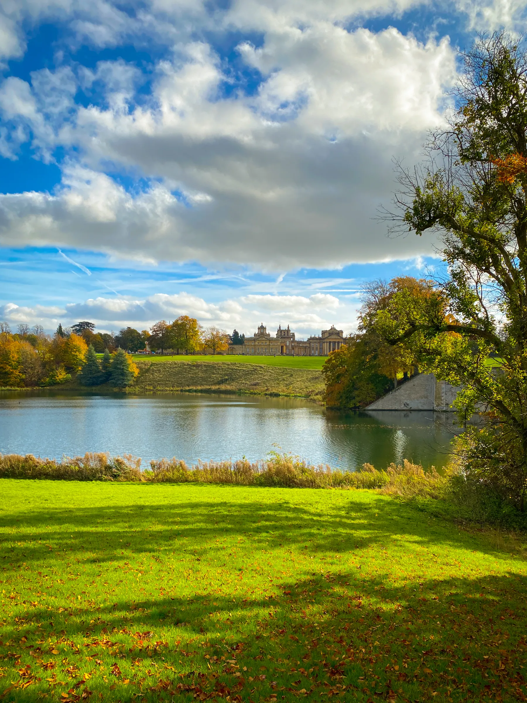 MetClic Portafolio Fotografía