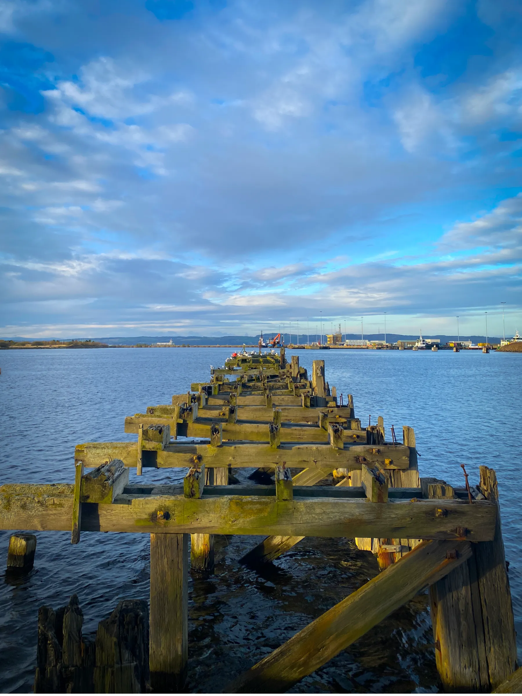 MetClic Portafolio Fotografía