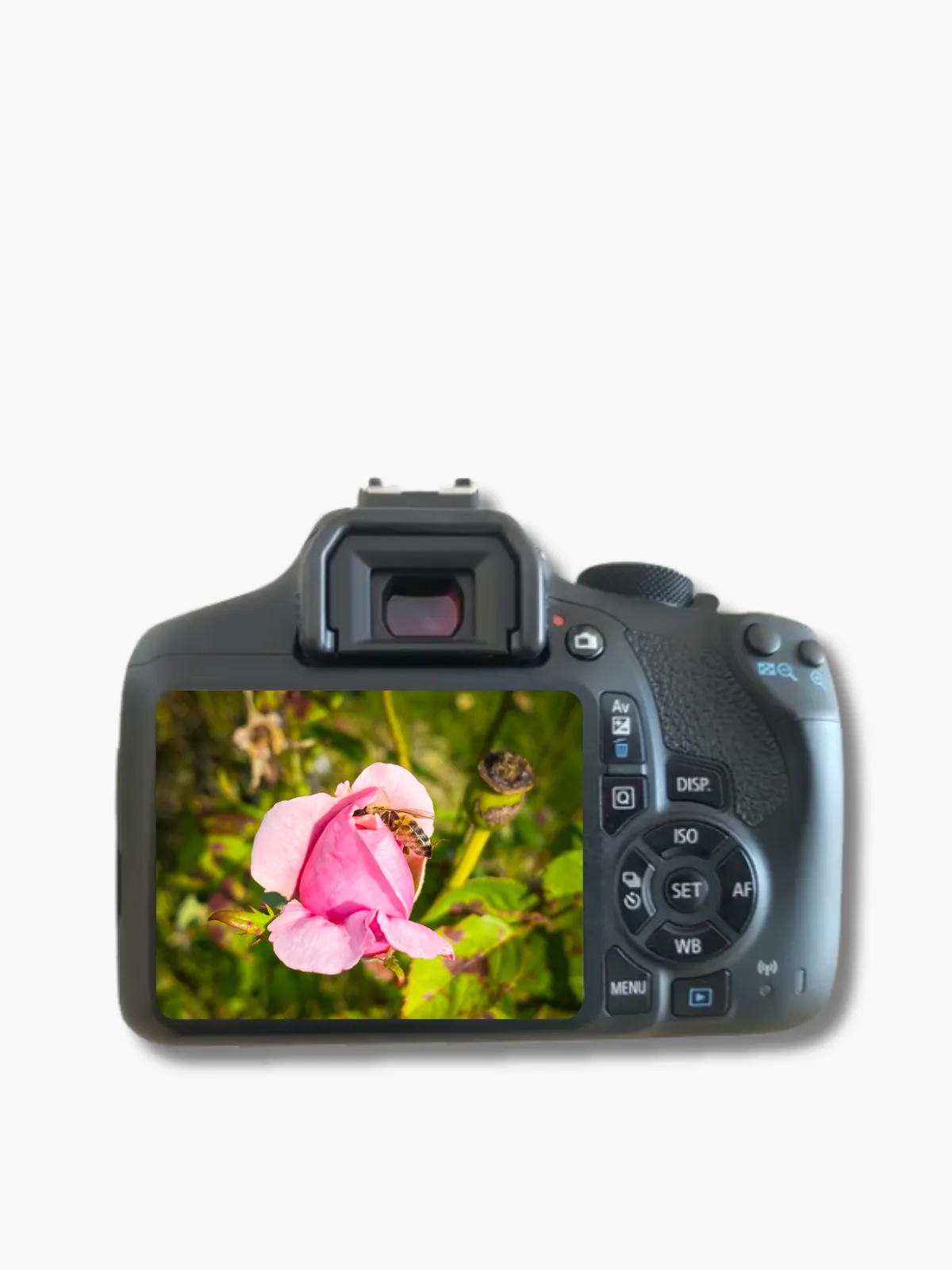 MetClic Fotografía